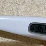 ヒメ日記 2025/06/05 11:07 投稿 ミズキ(奥方） 奥様幕府