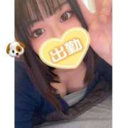 ヒメ日記 2025/06/05 16:57 投稿 ミズキ(奥方） 奥様幕府