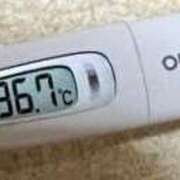 ヒメ日記 2025/06/06 12:07 投稿 ミズキ(奥方） 奥様幕府