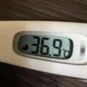 ヒメ日記 2025/06/07 12:27 投稿 ミズキ(奥方） 奥様幕府