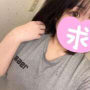 ヒメ日記 2025/06/07 16:47 投稿 ミズキ(奥方） 奥様幕府