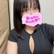 ヒメ日記 2025/06/07 20:47 投稿 ミズキ(奥方） 奥様幕府