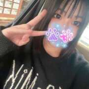 ヒメ日記 2025/06/08 16:13 投稿 ミズキ(奥方） 奥様幕府