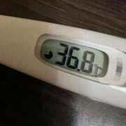 ヒメ日記 2025/06/10 12:07 投稿 ミズキ(奥方） 奥様幕府