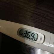 ヒメ日記 2025/06/11 11:47 投稿 ミズキ(奥方） 奥様幕府