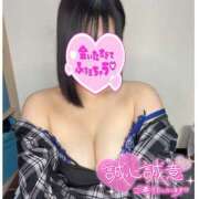 ヒメ日記 2025/06/11 23:17 投稿 ミズキ(奥方） 奥様幕府