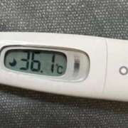 ヒメ日記 2025/06/12 11:57 投稿 ミズキ(奥方） 奥様幕府