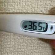 ヒメ日記 2025/06/13 11:47 投稿 ミズキ(奥方） 奥様幕府