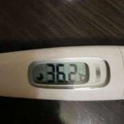 ヒメ日記 2025/06/14 11:57 投稿 ミズキ(奥方） 奥様幕府