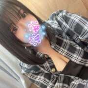 ヒメ日記 2025/06/14 14:31 投稿 ミズキ(奥方） 奥様幕府