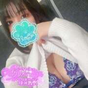 ヒメ日記 2025/06/14 16:22 投稿 ミズキ(奥方） 奥様幕府