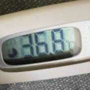 ヒメ日記 2025/06/15 11:23 投稿 ミズキ(奥方） 奥様幕府