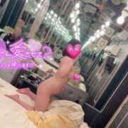 ヒメ日記 2025/06/15 19:47 投稿 ミズキ(奥方） 奥様幕府