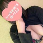 ヒメ日記 2025/06/15 22:55 投稿 ミズキ(奥方） 奥様幕府