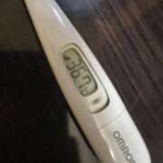 ヒメ日記 2025/06/16 13:37 投稿 ミズキ(奥方） 奥様幕府