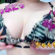 ヒメ日記 2025/06/17 04:05 投稿 ミズキ(奥方） 奥様幕府