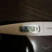 ヒメ日記 2025/06/17 11:47 投稿 ミズキ(奥方） 奥様幕府