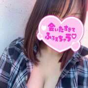 ヒメ日記 2025/06/17 16:27 投稿 ミズキ(奥方） 奥様幕府