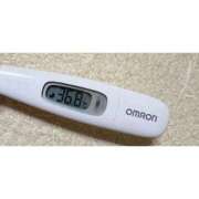 ヒメ日記 2025/10/22 14:47 投稿 ミズキ(奥方） 奥様幕府