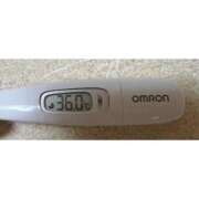 ヒメ日記 2025/10/23 14:29 投稿 ミズキ(奥方） 奥様幕府