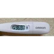 ヒメ日記 2025/10/24 14:48 投稿 ミズキ(奥方） 奥様幕府