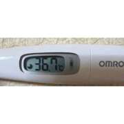 ヒメ日記 2025/10/25 14:27 投稿 ミズキ(奥方） 奥様幕府