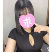 ヒメ日記 2025/10/26 20:47 投稿 ミズキ(奥方） 奥様幕府