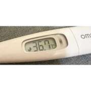 ヒメ日記 2025/10/27 14:27 投稿 ミズキ(奥方） 奥様幕府