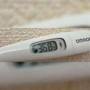 ヒメ日記 2025/10/28 14:47 投稿 ミズキ(奥方） 奥様幕府