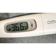 ヒメ日記 2025/10/31 14:57 投稿 ミズキ(奥方） 奥様幕府