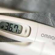 ヒメ日記 2025/11/01 14:57 投稿 ミズキ(奥方） 奥様幕府