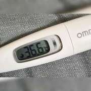 ヒメ日記 2025/11/02 13:37 投稿 ミズキ(奥方） 奥様幕府