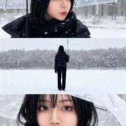 ヒメ日記 2025/11/02 14:57 投稿 ミズキ(奥方） 奥様幕府