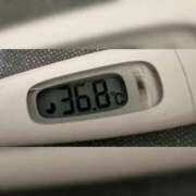 ヒメ日記 2025/11/03 13:47 投稿 ミズキ(奥方） 奥様幕府