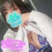 ヒメ日記 2025/11/04 02:47 投稿 ミズキ(奥方） 奥様幕府