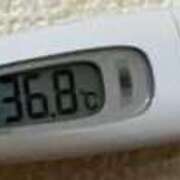 ヒメ日記 2025/11/05 12:27 投稿 ミズキ(奥方） 奥様幕府