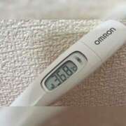 ヒメ日記 2025/11/06 11:57 投稿 ミズキ(奥方） 奥様幕府