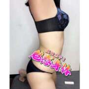 ヒメ日記 2025/11/06 20:27 投稿 ミズキ(奥方） 奥様幕府