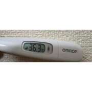 ヒメ日記 2025/11/07 12:27 投稿 ミズキ(奥方） 奥様幕府