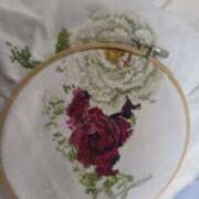 ヒメ日記 2025/04/22 07:28 投稿 つくし ダイスキ