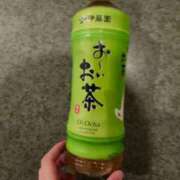 ヒメ日記 2025/07/15 08:53 投稿 つくし ダイスキ