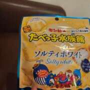ヒメ日記 2025/07/31 09:00 投稿 つくし ダイスキ
