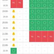 ヒメ日記 2025/08/05 11:00 投稿 つくし ダイスキ