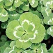 ヒメ日記 2025/10/01 09:15 投稿 つくし ダイスキ