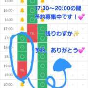 ヒメ日記 2025/10/12 16:01 投稿 つくし ダイスキ