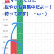 ヒメ日記 2025/10/15 14:40 投稿 つくし ダイスキ