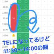ヒメ日記 2025/10/17 11:37 投稿 つくし ダイスキ