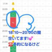 ヒメ日記 2025/10/26 17:00 投稿 つくし ダイスキ
