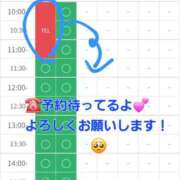 ヒメ日記 2025/10/28 10:14 投稿 つくし ダイスキ