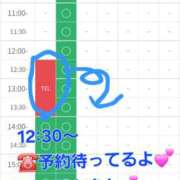 ヒメ日記 2025/10/28 12:53 投稿 つくし ダイスキ